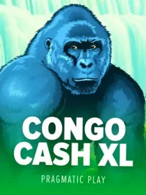 Congo Cash XL at Mate